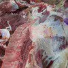 мясо говядины, мясо в тушах и полутушах в Кольчугине