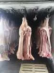 фотография продукта Мясо свинины оптом с ФХ д. Шелдяково